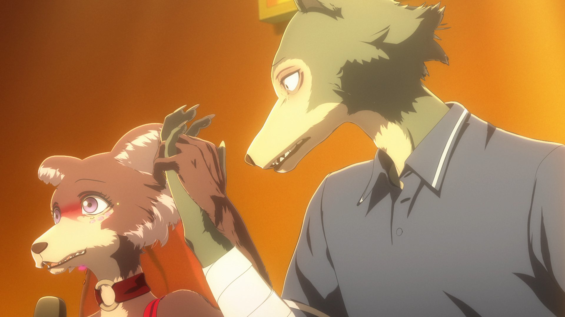Beastars – Une pièce de théâtre géante sur une partie de chasse